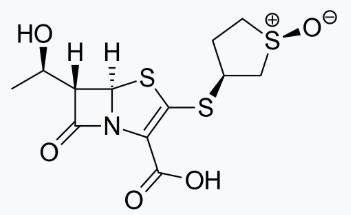 Sulopenem